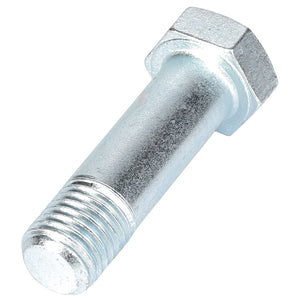 AGCO | Hexagonal Head Bolt - Acp0011930 - Farming Parts