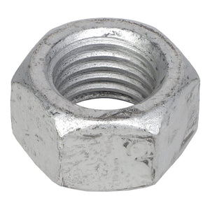 A hexagonal metal nut with a threaded inner surface, identified as the AGCO | HEX NUT - AG522719 by the brand AGCO; currently, no product description information is available.