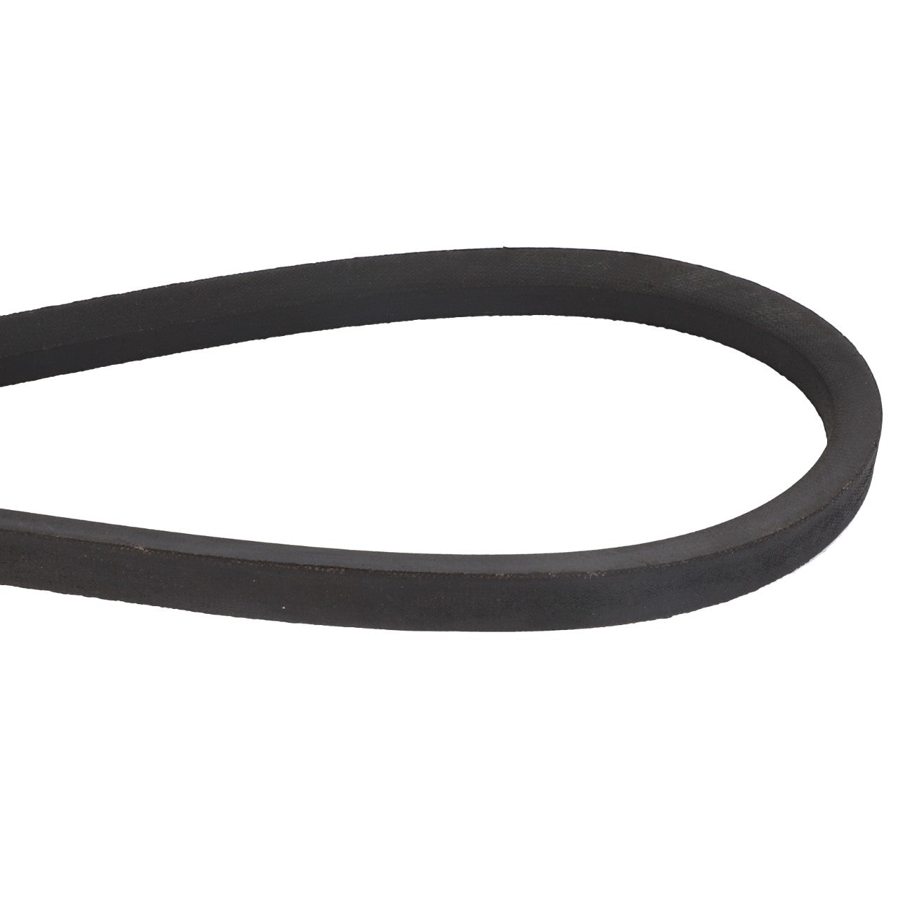 A close-up of the AGCO | V BELT - ACY9700240, a black rubber belt designed in an oval shape and typically used in machinery and engines.