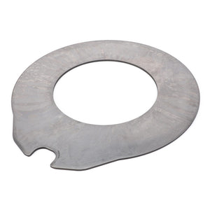 AGCO | Handbrake Disc , Intermediate | AG-3613538M1