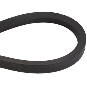 AGCO | V BELT - D41950600