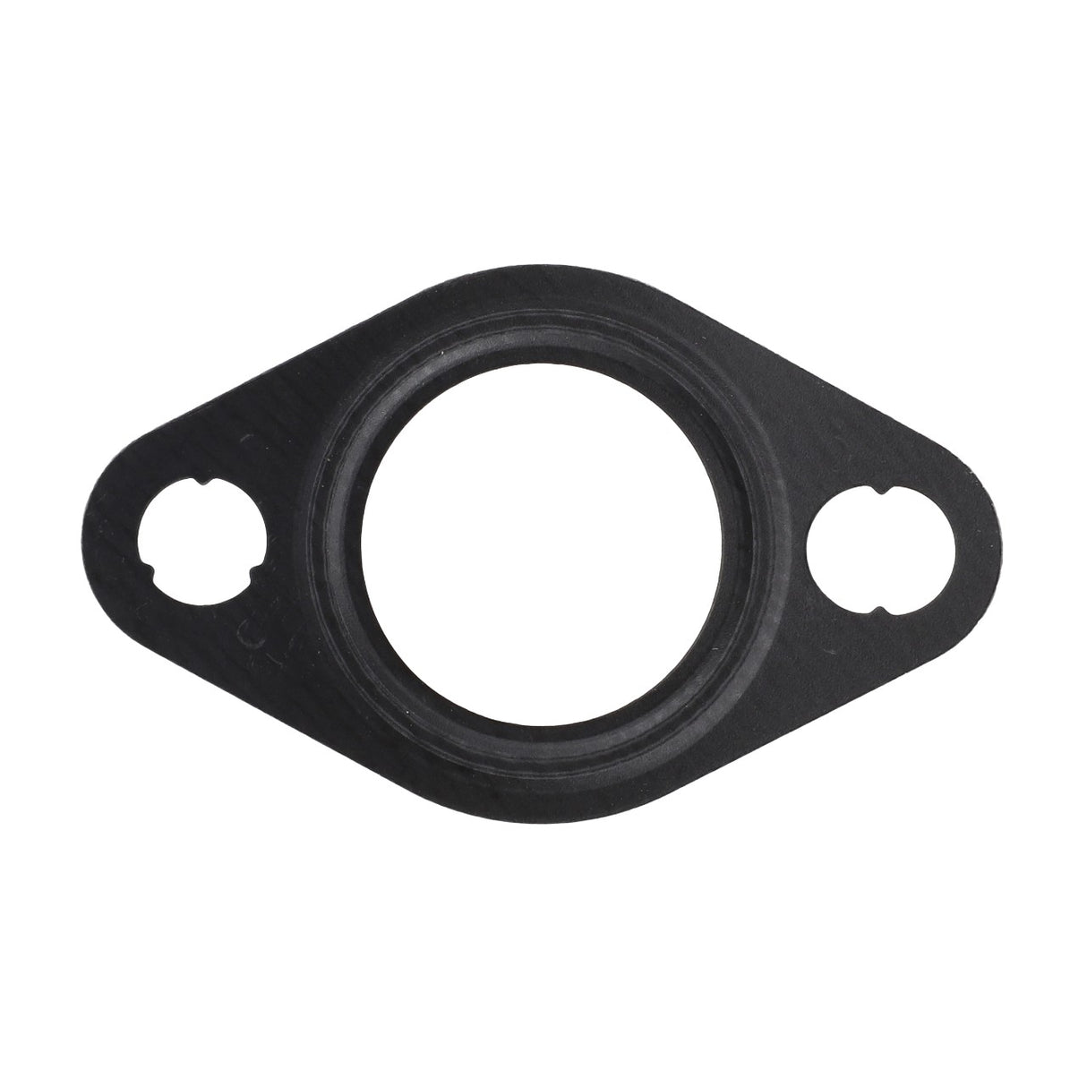 AGCO | Gasket | AG-3972831M1