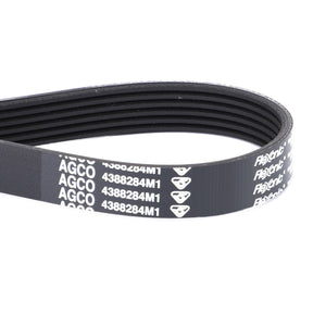A black AGCO Serpentine Belt with the code "4388284M1" in white text, featuring a Pk6 profile, suitable for various Massey Ferguson models.