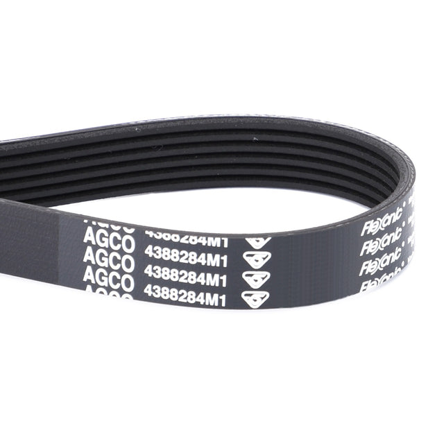 AGCO | Serpentine Belt, Pk6 Profile - 4388284M1 - Farming Parts