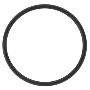 AGCO | O Ring | AG-001051611