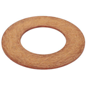 A flat, round Friction Disc - Fel103160 by AGCO with a central hole is seen from above on a white background.