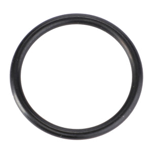 AGCO | O-Ring, Ø 24 X 2,5 Mm | AG-X548871466000