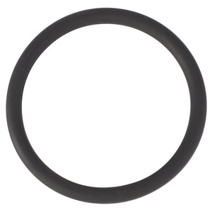 A high-quality AGCO O-Ring for injection pumps (model F119200710170) is displayed on a white background.