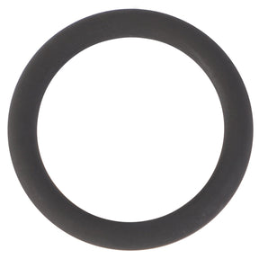 A black circular rubber ring on a white background, exemplifying the manufacturing precision of the AGCO O-Ring - 3011903X1, tailored for high-performance demands.