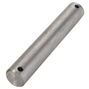 A cylindrical metal rod identified as "AGCO | PIN - V30787600" from the AGCO brand, features two holes drilled near each end. Current product description is not available.