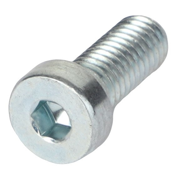 Close-up image of the AGCO SCREW - AL5004051, a metal hex socket head cap screw with visible threading and a cylindrical head. No current product description information is available.