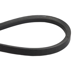 AGCO | V BELT - D41928900