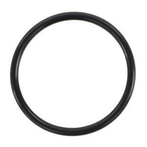 A close-up image of the AGCO O-RING - F716961020350, shown centered on a white background. The black rubber O-ring is circular and appears to be made of flexible material.