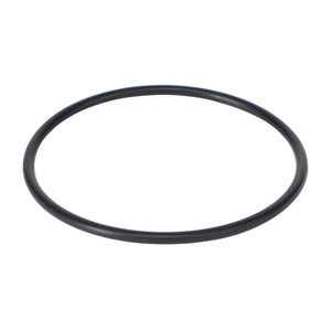 AGCO | GASKET - AG428431