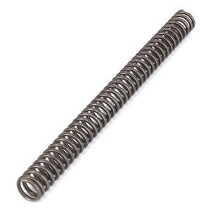 AGCO | Spring | AG-1660323M1