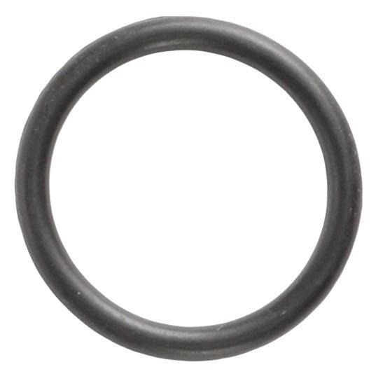 AGCO | O RING - AL5037057