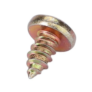 AGCO | Screw | AG-X493812005000