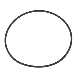 An AGCO black rubber O-ring (Ø 117.07 X 3.53 mm - 3382252M1), perfect for high-performance demands and exceptional manufacturing consistency, sits prominently on a white background.