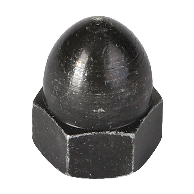 The AGCO HEX NUT - AG844574 is a black acorn nut featuring a hexagonal base and a smooth, rounded top. No current product description information is available.