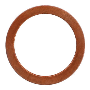 A flat, circular copper washer with a central hole, identified as the AGCO Sealing Washer - Va023262 by the brand AGCO, is shown against a white background.