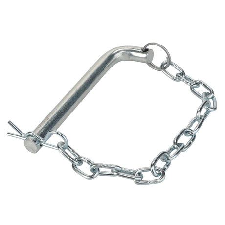 AGCO | Pin And Chain - Acw4656430 - Farming Parts