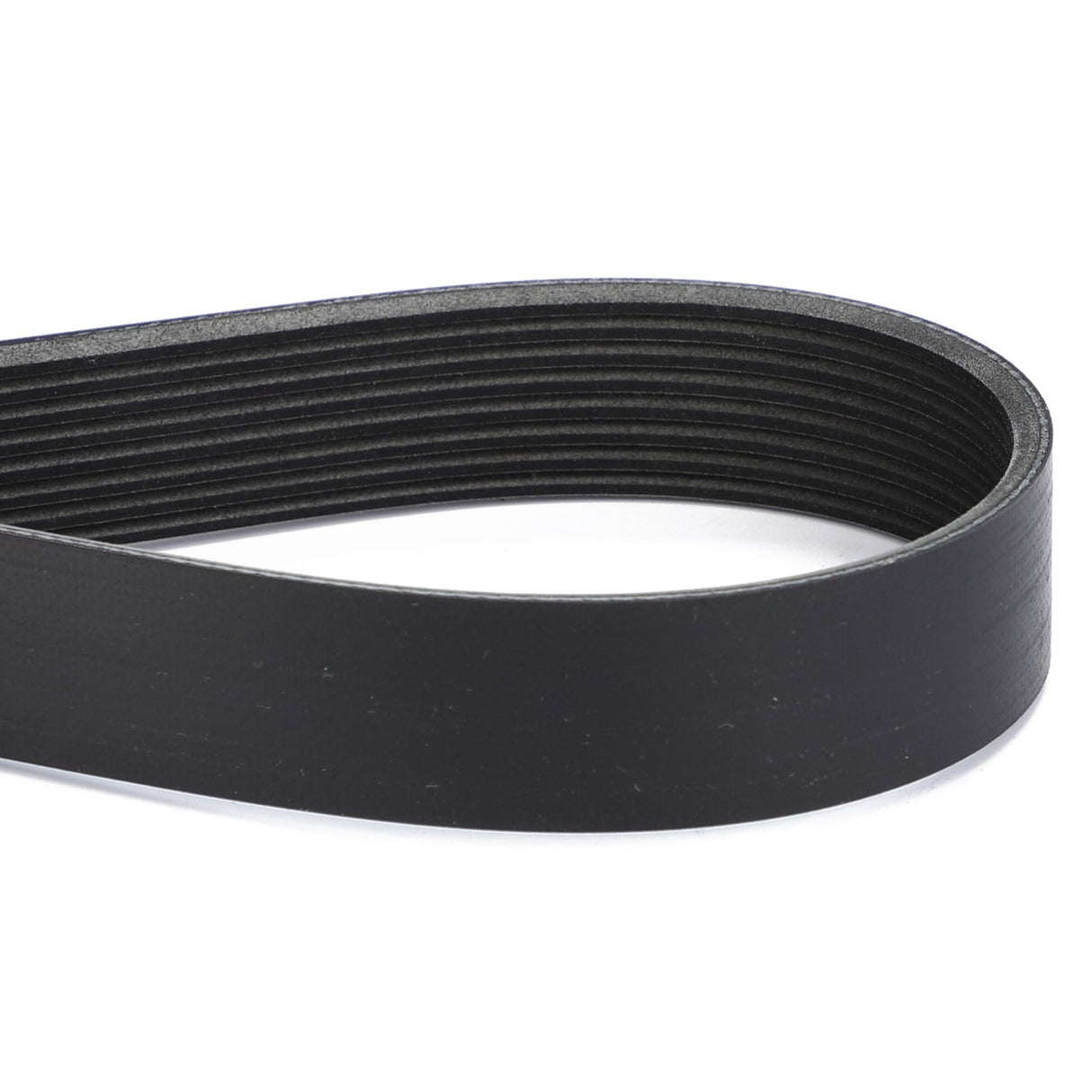 AGCO | Serpentine Belt, Pk8 Profile | AG-3970133M1