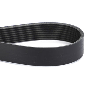 AGCO | Serpentine Belt, Pk8 Profile | AG-3970133M1