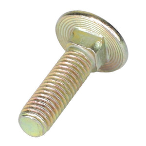 A close-up image of the AGCO | ROUND HEAD SQUARE NECK CARRIAGE BOLT - ACP0127460, featuring a threaded shaft and a round, ridged head perfect for your next project. For ordering or product questions, please contact support.