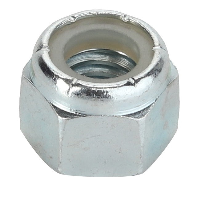 AGCO | LOCKNUT - D41080550