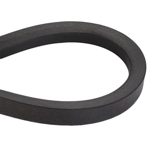 AGCO | V BELT - D41988900