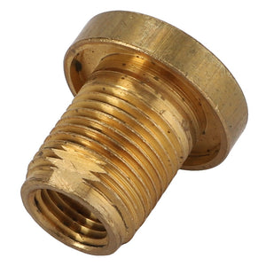 A close-up of an AGCO BOLT - CH214-1085 threaded pipe fitting with a hexagonal head, exhibiting wear and tear on the threads. No current product description information available for this item.