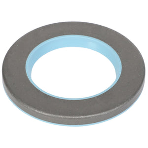 AGCO | Pin Seal | AG-Ch164-0909