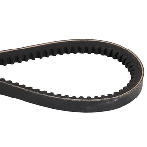 A close-up view of the AGCO V Belt - D41990014, a black rubber belt with internal teeth designed for use in machinery or automotive applications. This product is manufactured by AGCO.