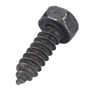 Close-up of an AGCO Hex Head Bolt, compatible with Fendt Models, featuring a pointed tip and threaded body. (Product Name: AGCO | Hex Head Bolt - X495320005000)