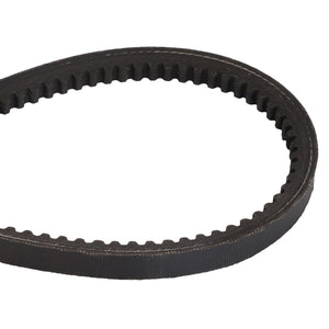 A black, toothed rubber timing belt is shown against a white background, identified as the AGCO FAN BELT - D41904300 by the brand AGCO, with no current product description available.