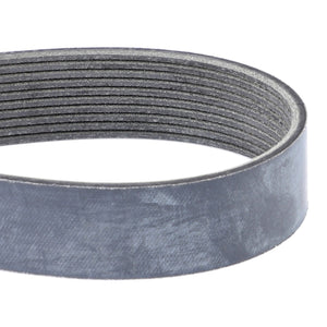 AGCO | Serpentine Belt, Pk10 Profile | AG-Acp0152840