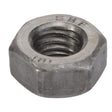 AGCO | Nut - Va022116 - Farming Parts