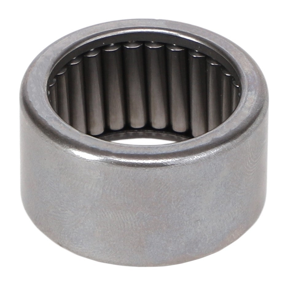 AGCO | Needle Roller Bearing | AG-195873M1