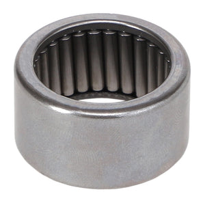 AGCO | Needle Roller Bearing | AG-195873M1