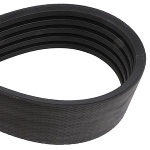 Close-up of the AGCO | BELT - D41979900, a new black ribbed serpentine belt commonly used in automotive engines. The belt, branded by AGCO, is neatly coiled in a loop. No current product description information is available.