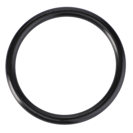 AGCO | O-Ring, Ø 32,92 X 3,53 Mm - X548892900000 - Farming Parts