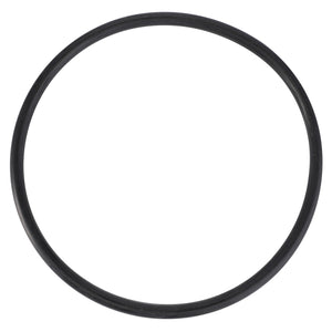 AGCO O-Ring OEM High-Performance Seal for Reliability | 3906597M1