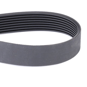 AGCO | Serpentine Belt, Pk8 Profile - 4296120M1 - Farming Parts