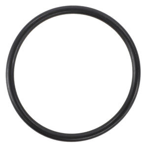 A circular black rubber O-ring by AGCO, product name: AGCO | O-RING - F743300020320; no current product description information is available.