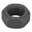 AGCO | Nut Metric - 3009909X1 - Farming Parts