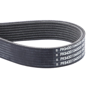 A black, multi-ribbed AGCO Serpentine Belt (Pk8 Profile - F934201040020), featuring white printed alphanumeric codes on its surface, is coiled in a loop, making it perfect for your Massey Ferguson or Fendt Vario. Trust AGCO Genuine Serpentine Belts for reliable performance.