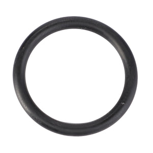AGCO | O-Ring, Ø 22,2 X 3 Mm | AG-X548868866000