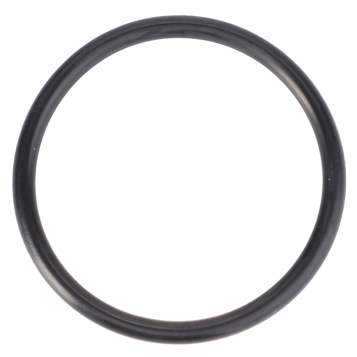 The AGCO O-Ring, Rangebox - 3807877M1, a high-performance black rubber O-ring, rests against a white background.