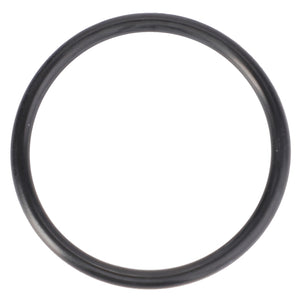 The AGCO O-Ring, Rangebox - 3807877M1, a high-performance black rubber O-ring, rests against a white background.