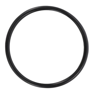 AGCO | O RING - D45465600